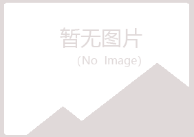 根河夏岚采矿有限公司